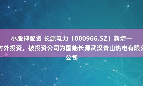 小股神配资 长源电力（000966.SZ）新增一起对外投资，被投资公司为国能长源武汉青山热电有限公司
