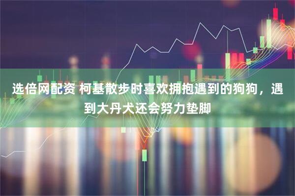 选倍网配资 柯基散步时喜欢拥抱遇到的狗狗，遇到大丹犬还会努力垫脚