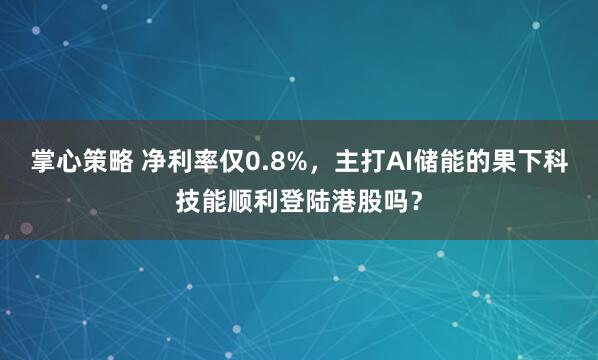 掌心策略 净利率仅0.8%，主打AI储能的果下科技能顺利登陆港股吗？